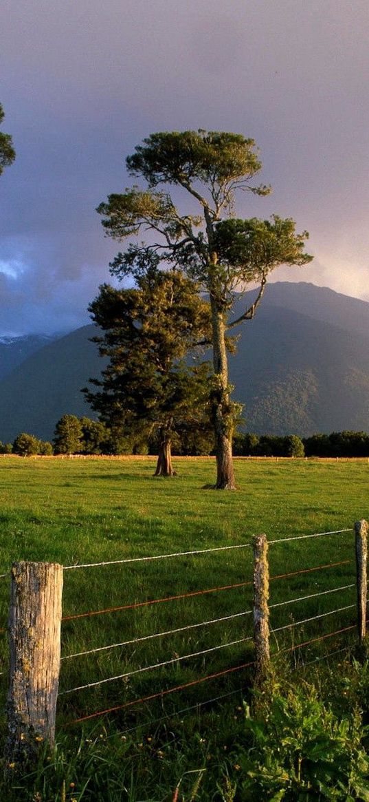 protection, reserve, trees, mountains, wire