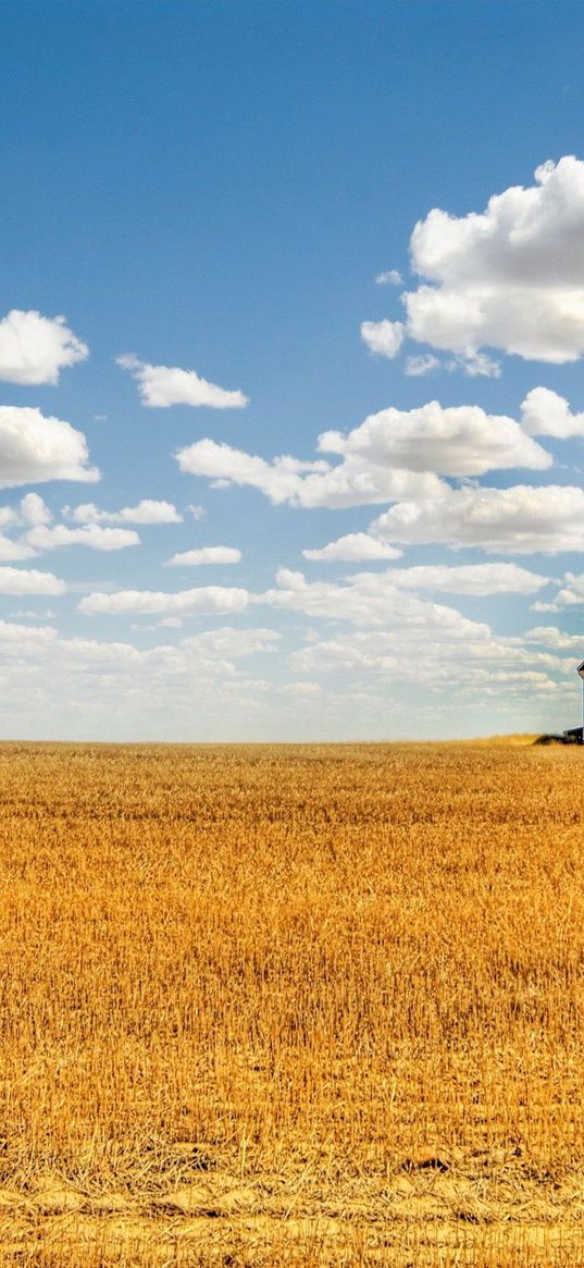 shed, field, hay, culture, clouds, agriculture