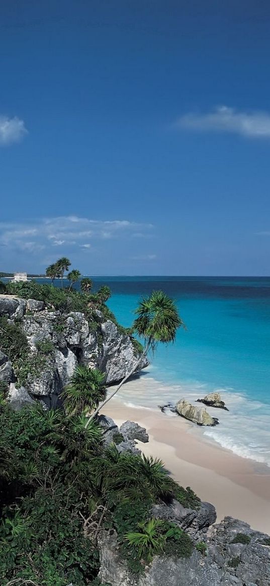 rocks, palm trees, structure, stone, architecture, break, blue water