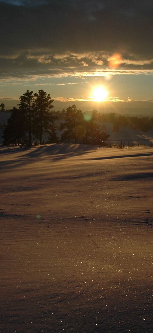 snow, winter, decline, evening, veil, carpet, snowdrifts, shine, beams