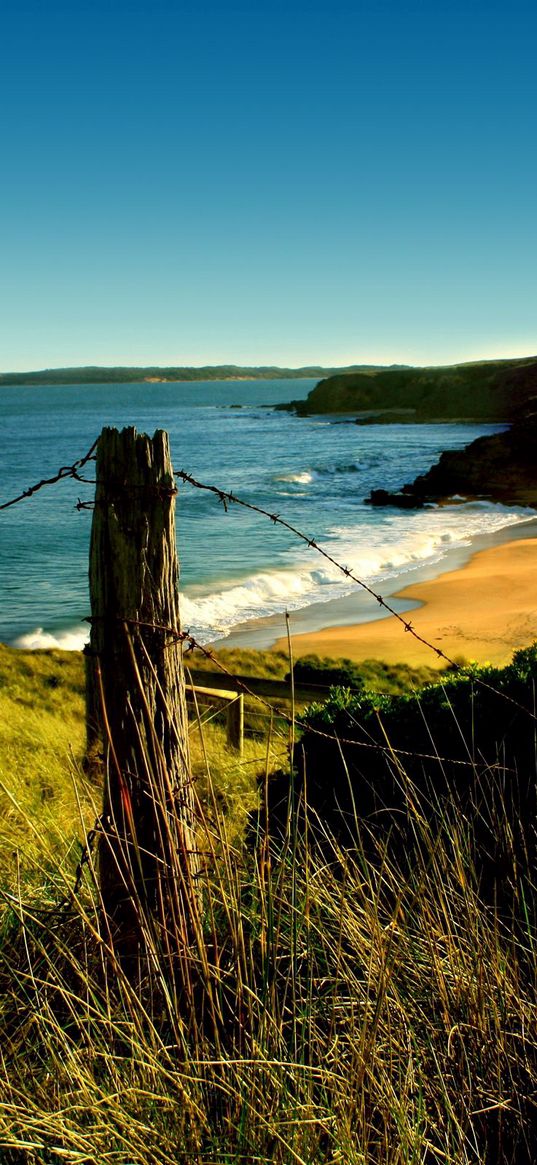 stakes, coast, wire, log, protection, bushes, day