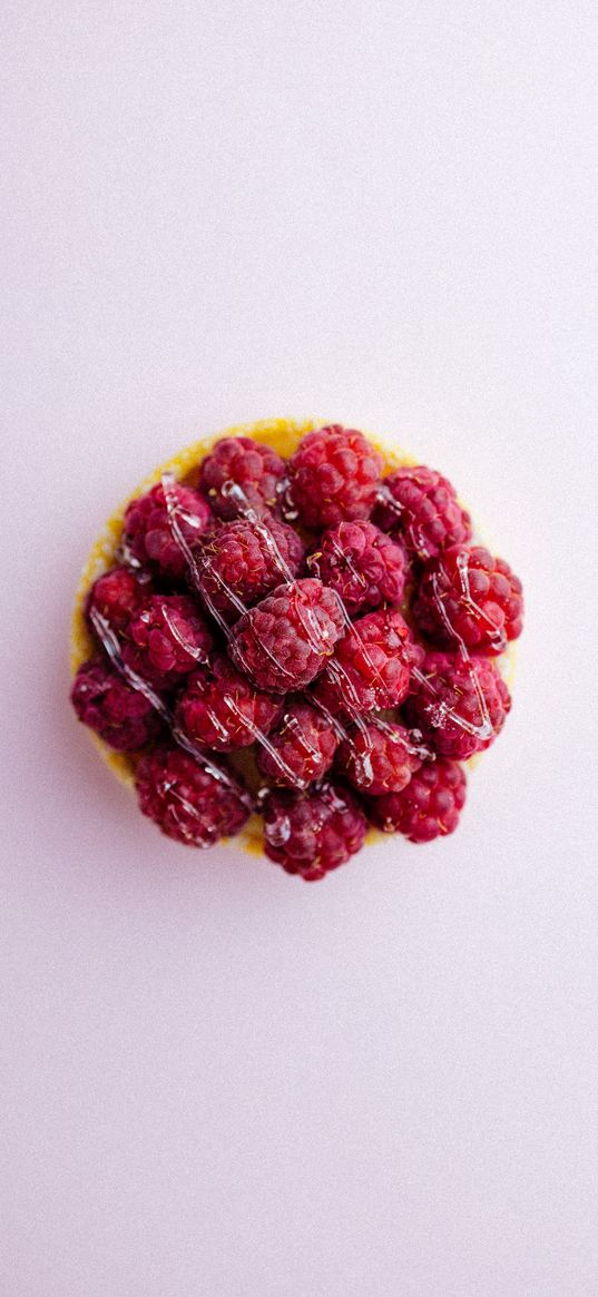 cake, sweetness, food, berries, raspberries