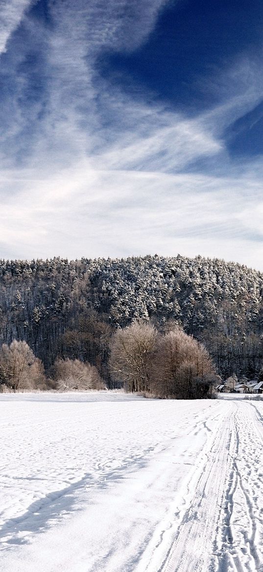 road, sky, white, country, frost, traces, trees, ease