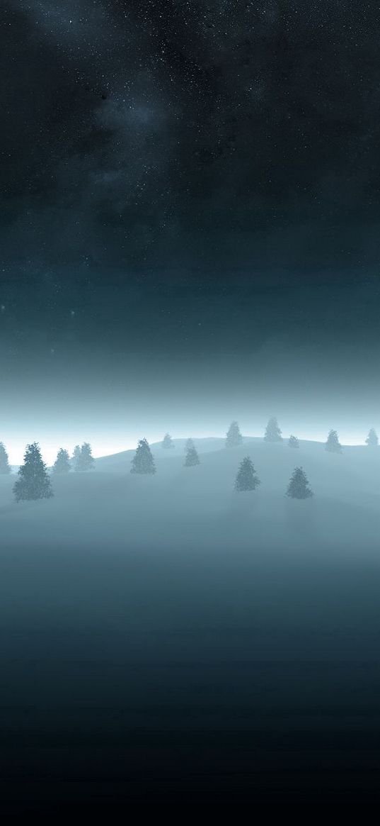 trees, fir-trees, snow, outlines, gloomy, fog, darkness