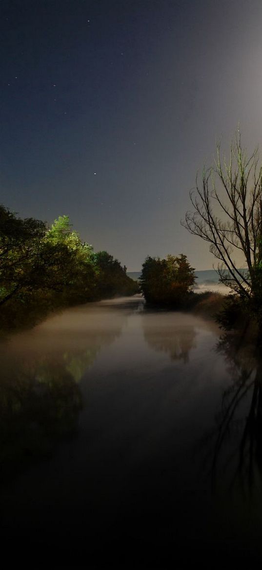 moon, light, night, darkness, river, trees, water