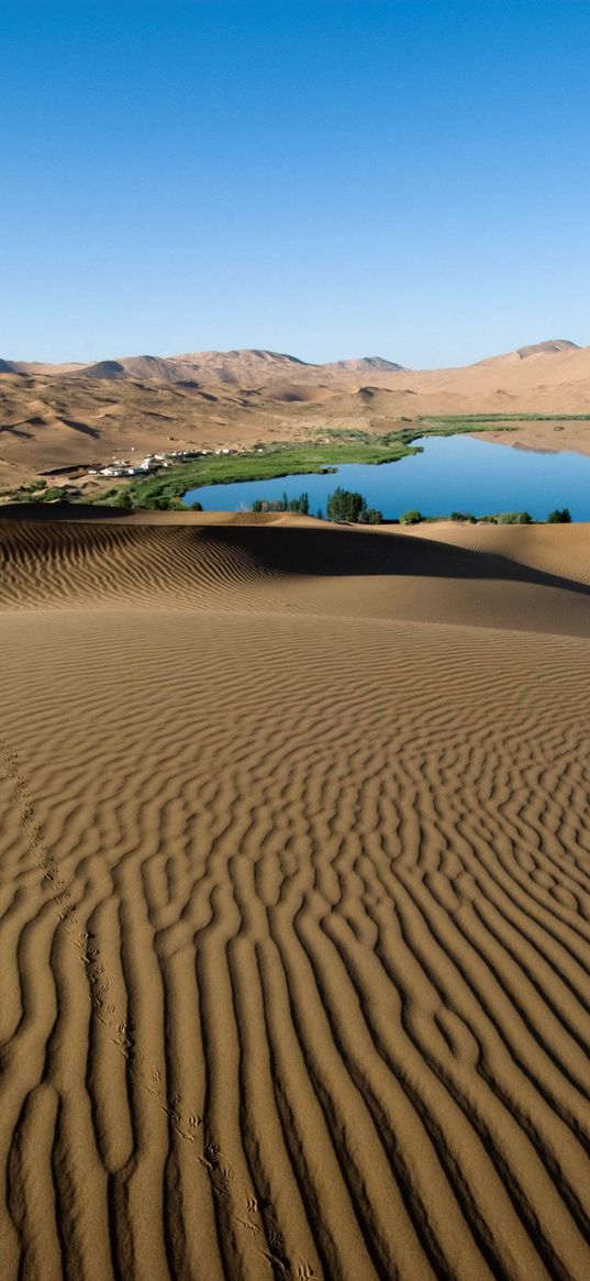 desert, sand, patterns, lines, oasis, lake, coast, vegetation