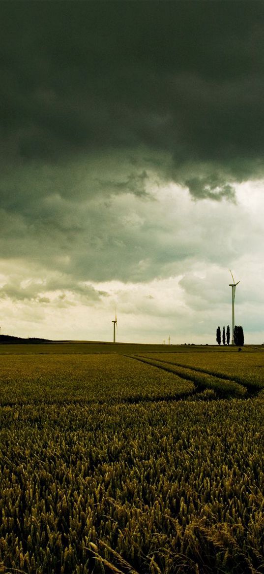 clouds, field, gloomy, sky, gray