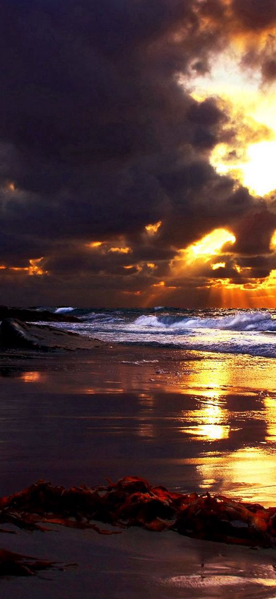 clouds, heavy, coast, sea, stones, wet, shadows, twilight