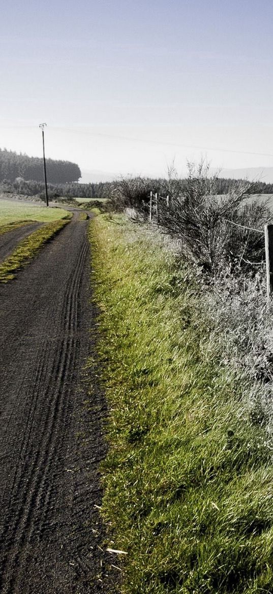 road, country, colors, effect, protection, grass