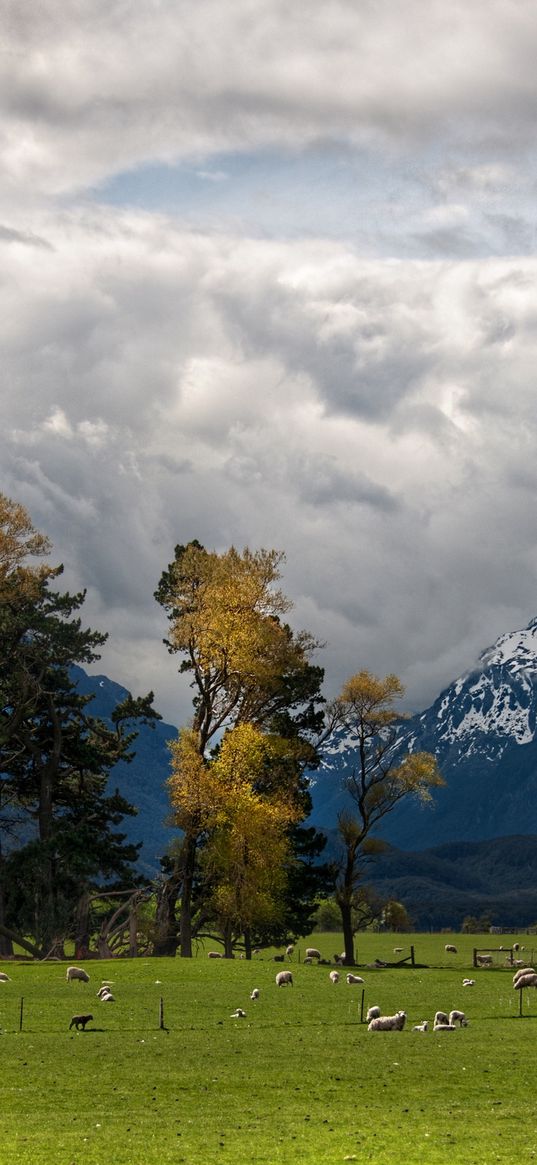 mountains, alps, sheep, pasture, bottom, valley, clouds, sky