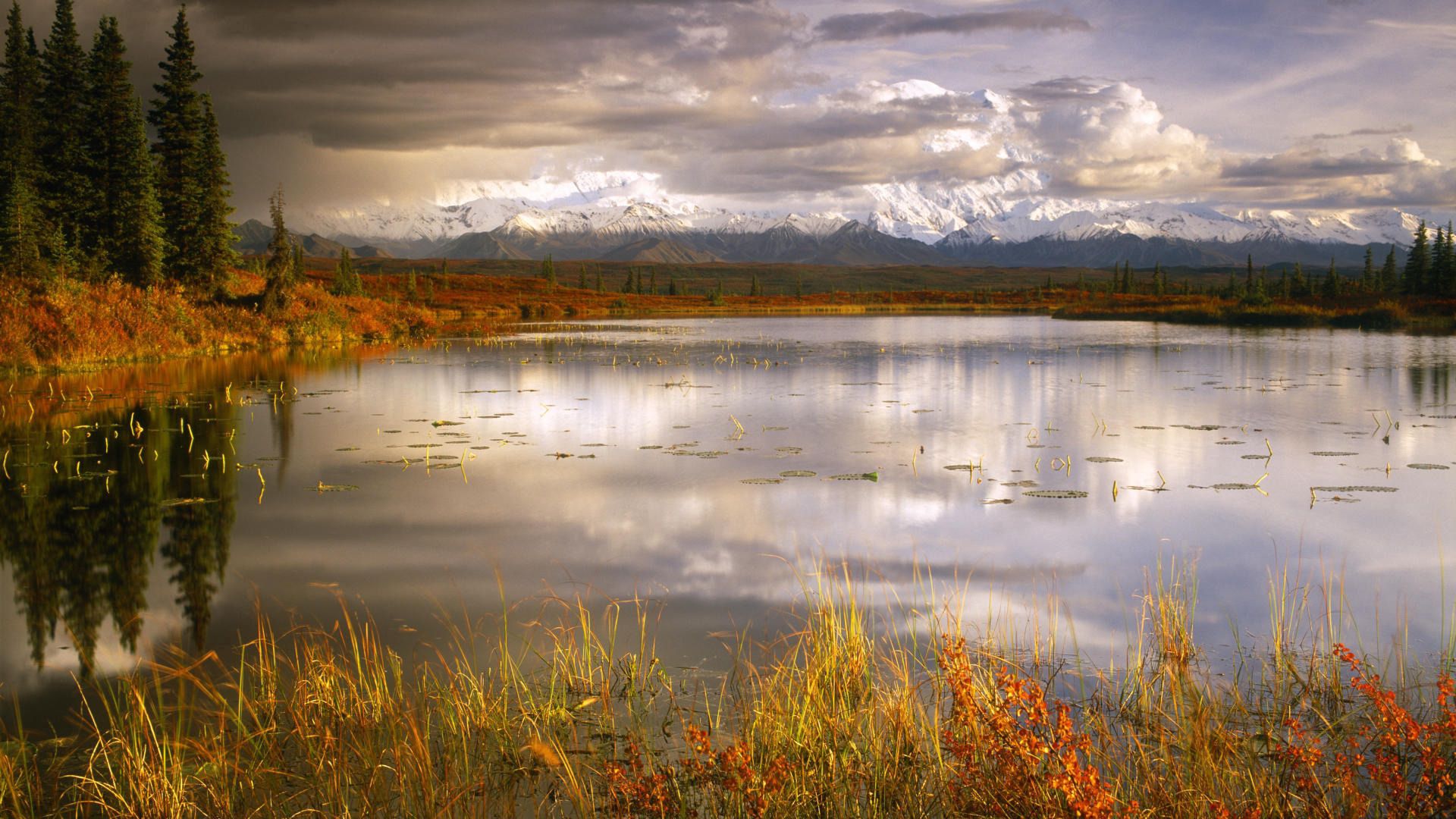 lake, grass, cloudy, bad weather, despondency, mountains