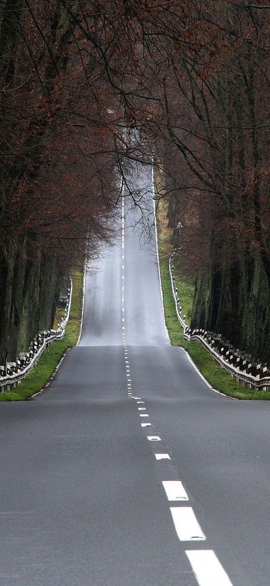 road, asphalt, marking, faltering, landscape, descent, lifting