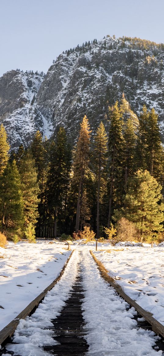 railroad, trees, forest, snow, winter, sunlight