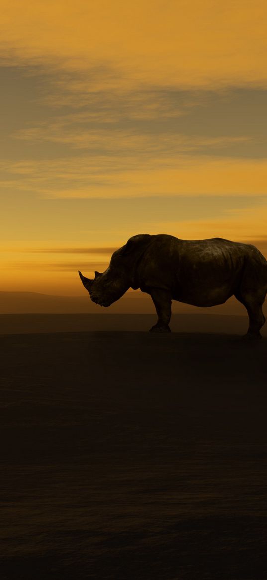 rhino, sunset, nature, sky, landscape, silhouette