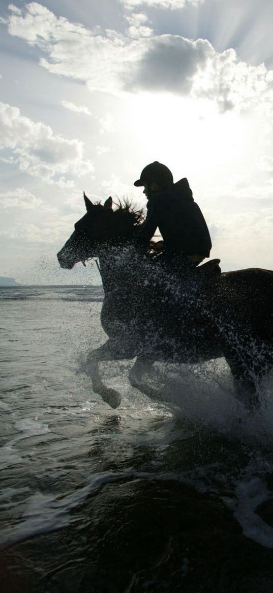 horse, rider, riders, sea, spray