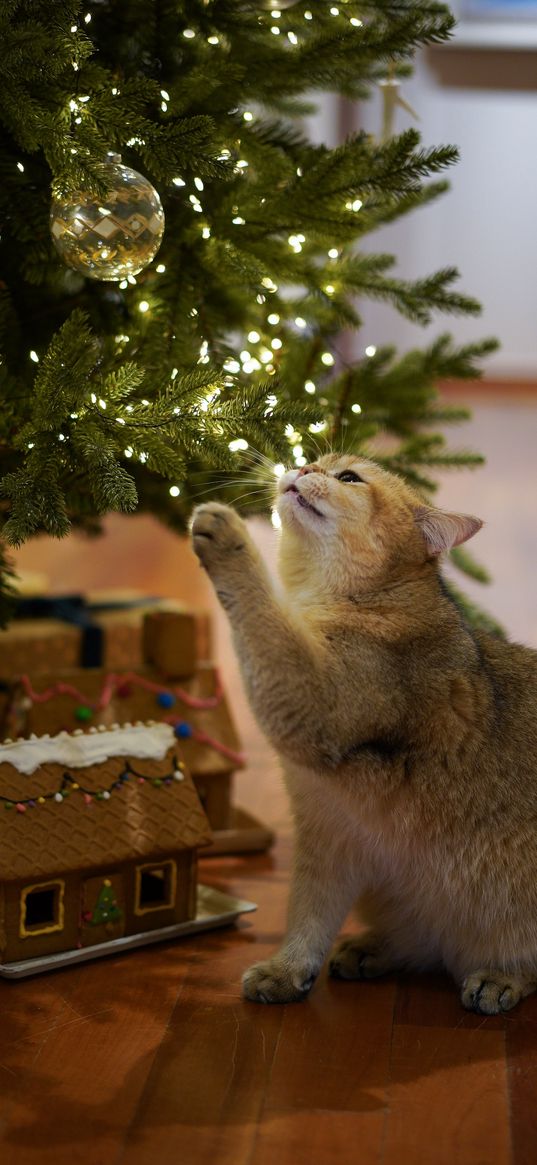 cat, christmas tree, garland, ball, gifts, house, pet, animal, new year, christmas, holiday