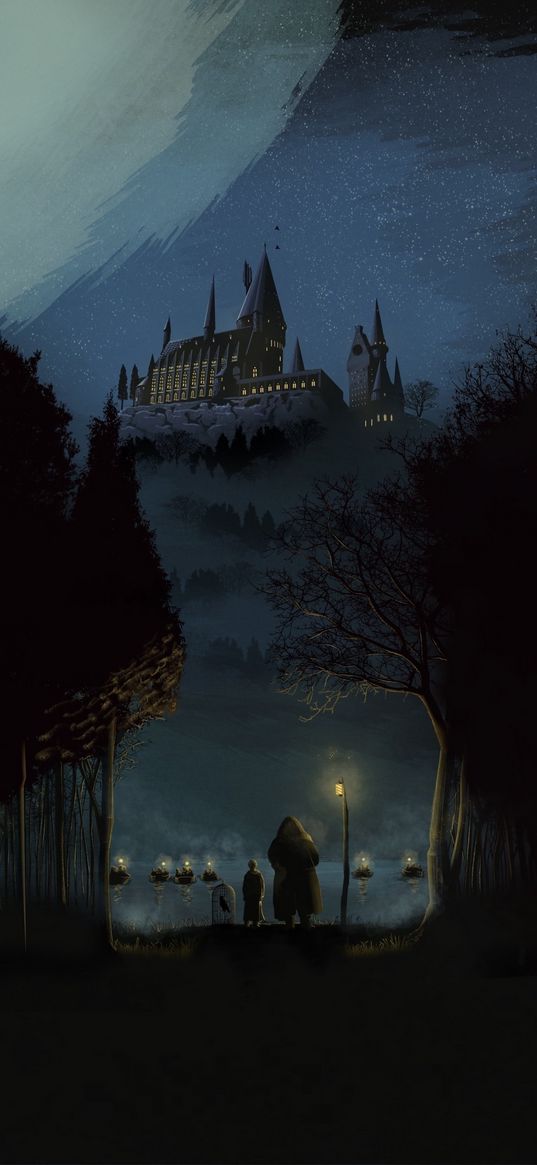 harry potter, book, hagrid, trees, forest, lake, boats, hogwarts, night, art