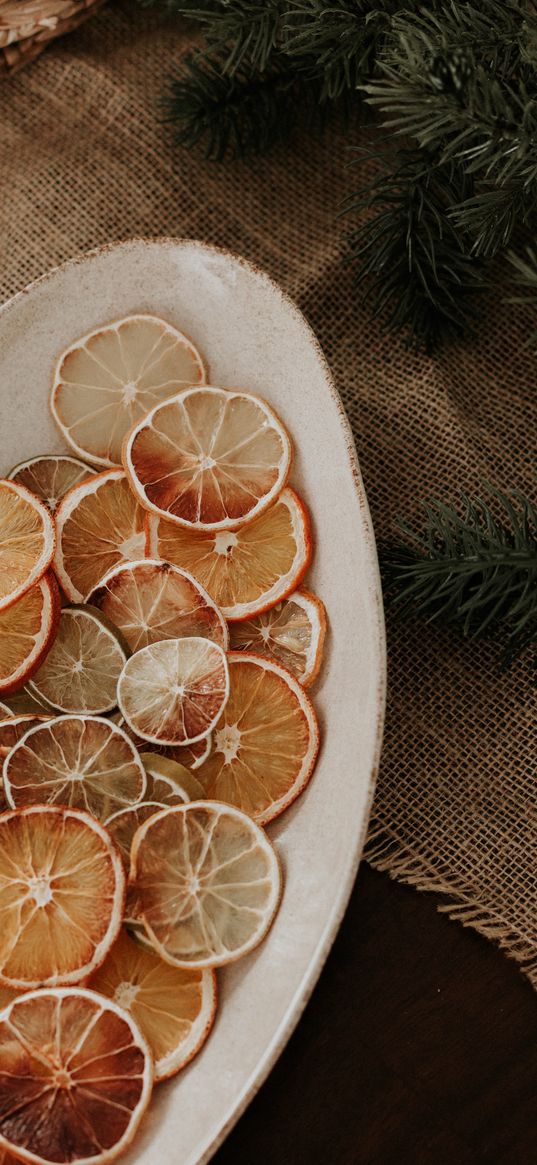 orange, slices, plate, fir branches, decor