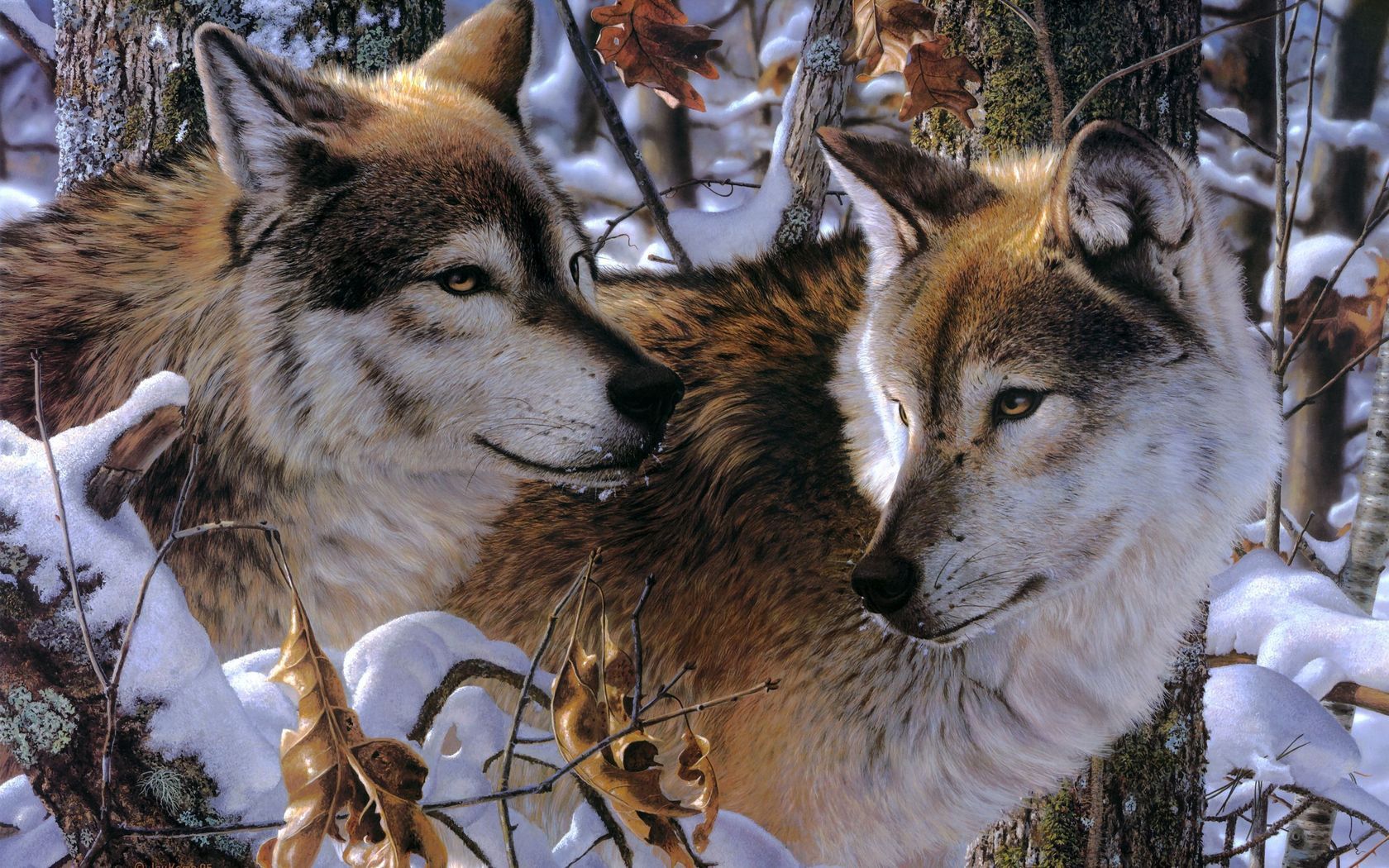 wolves, couple, predators, loyalty, affection