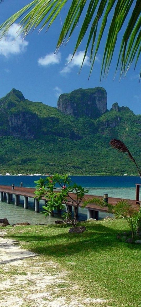 pier, coast, bridge, mooring, arbor, tropics, palm trees, mountain