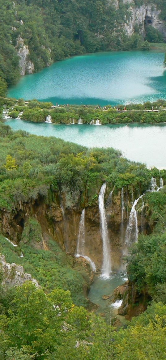 falls, wood, height, thickets, dam, rocks