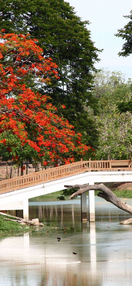 bridge, arbor, japan, snag