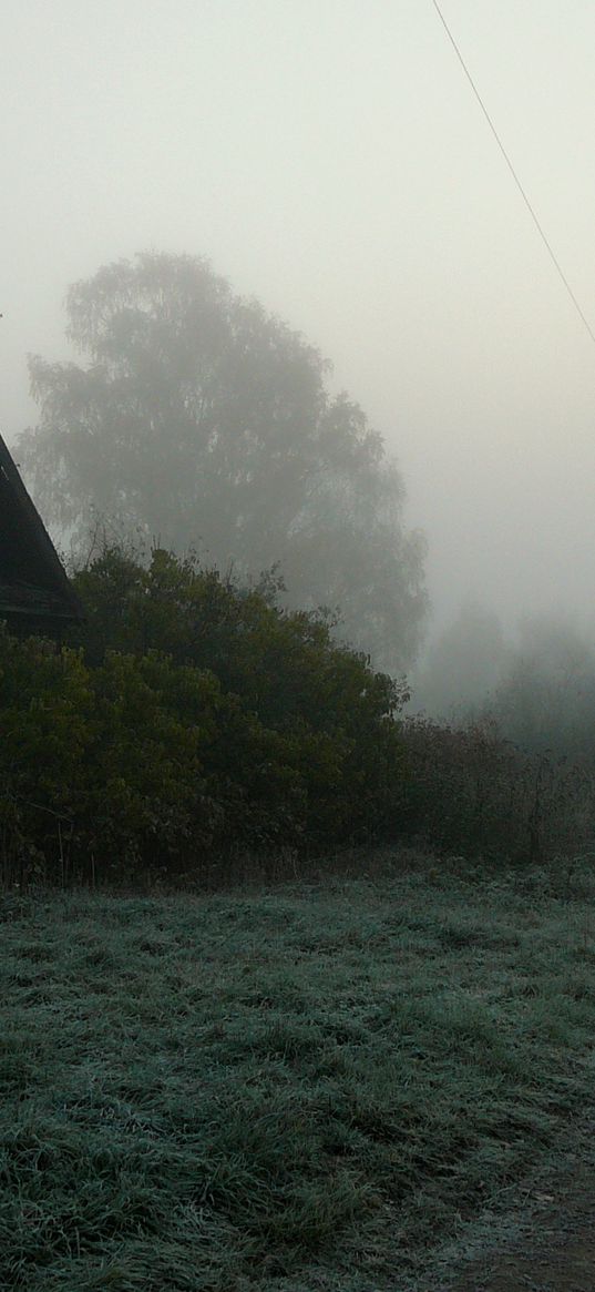 road, country, fog, trees, haze, house, gloomy