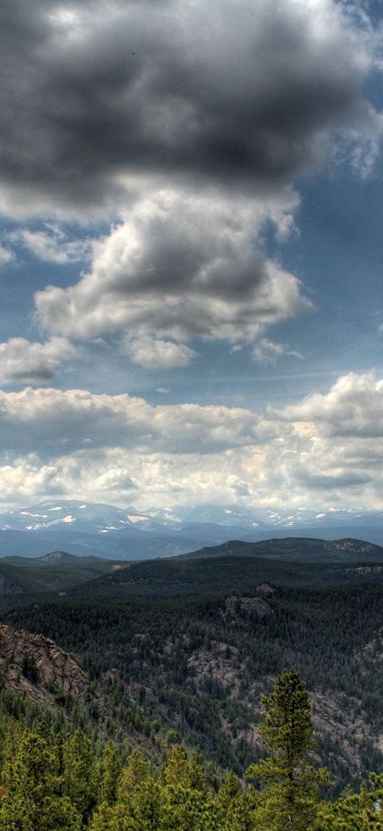 clouds, height, woods, open spaces, landscape, gray