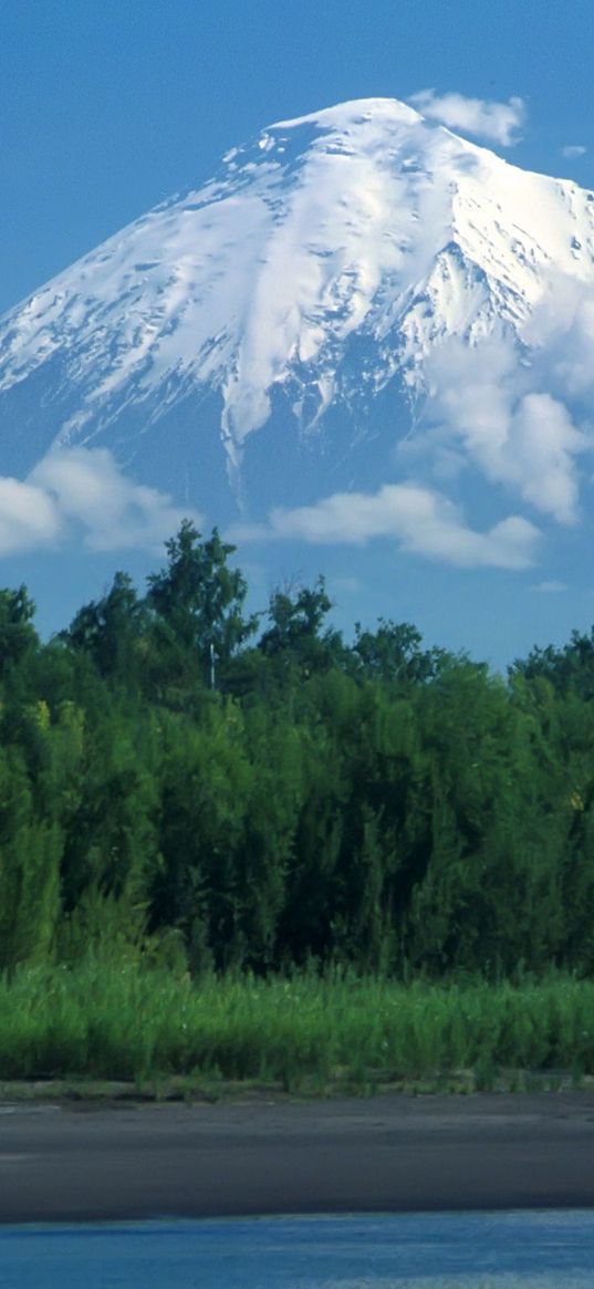 volcano, kamchatka, wood