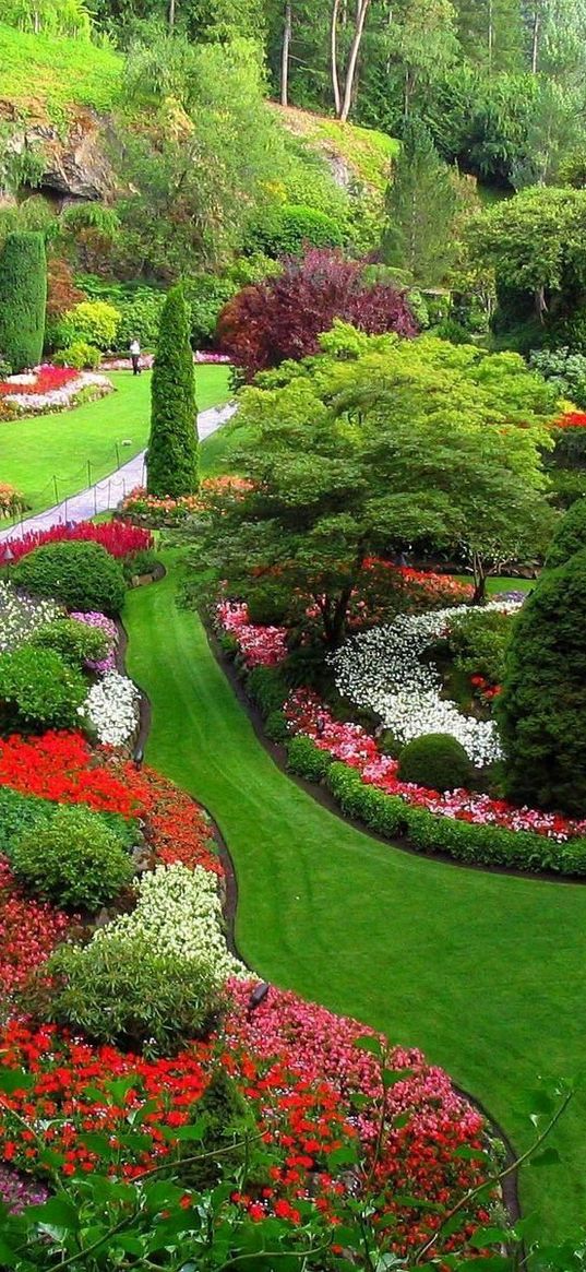 garden, footpaths, flowers, trees, grass, lawn, well-groomed