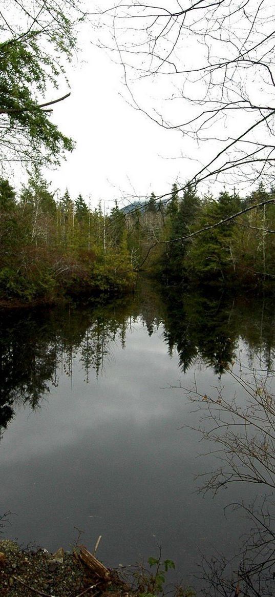 lake, trees, gloomy, ate