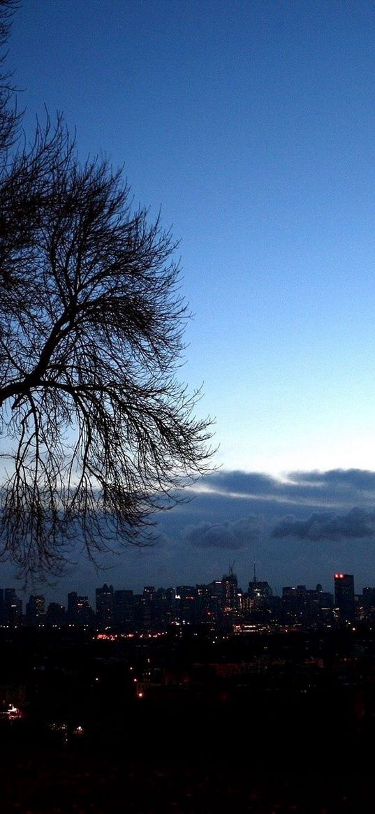 trees, autumn, branches, city, distance, outlines