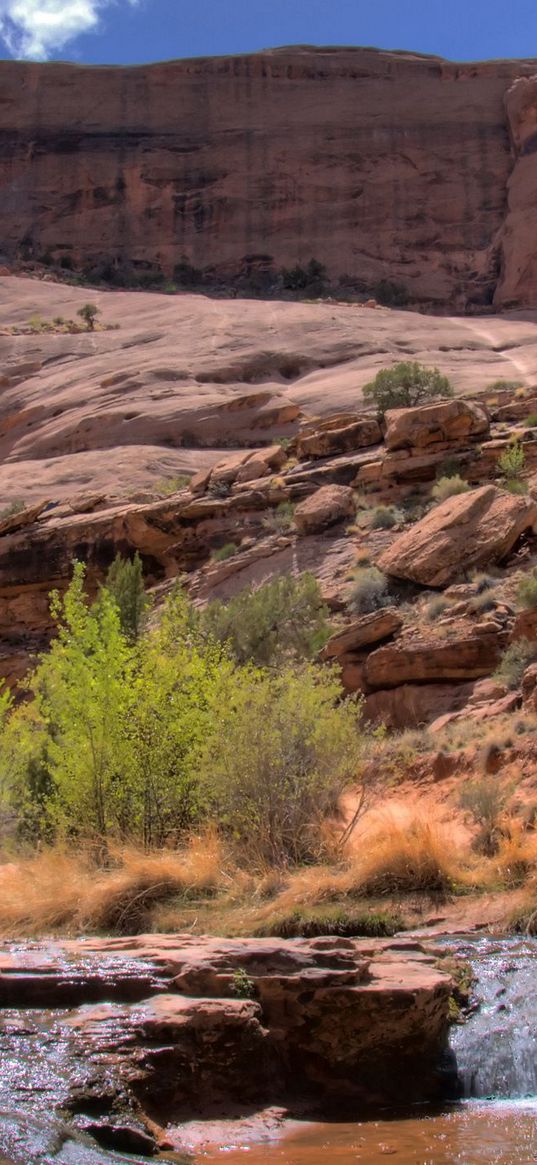 stream, mountain river, canyon, gorge, bushes