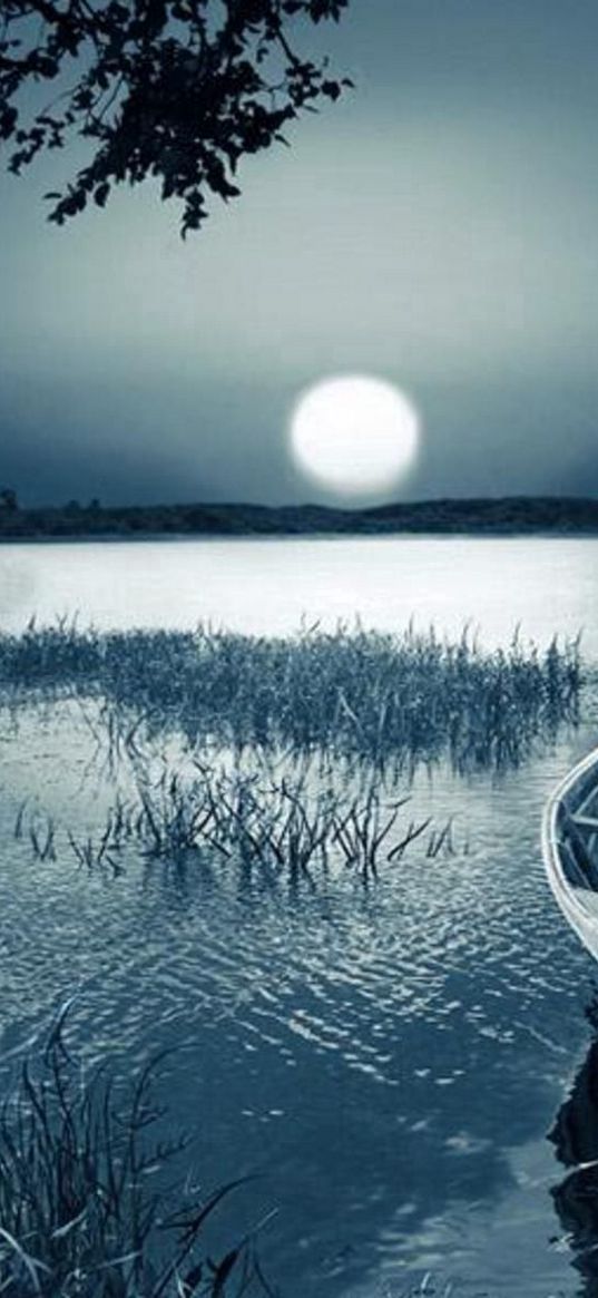 boat, moon, disk, light, darkness, grass, inclination, reservoir