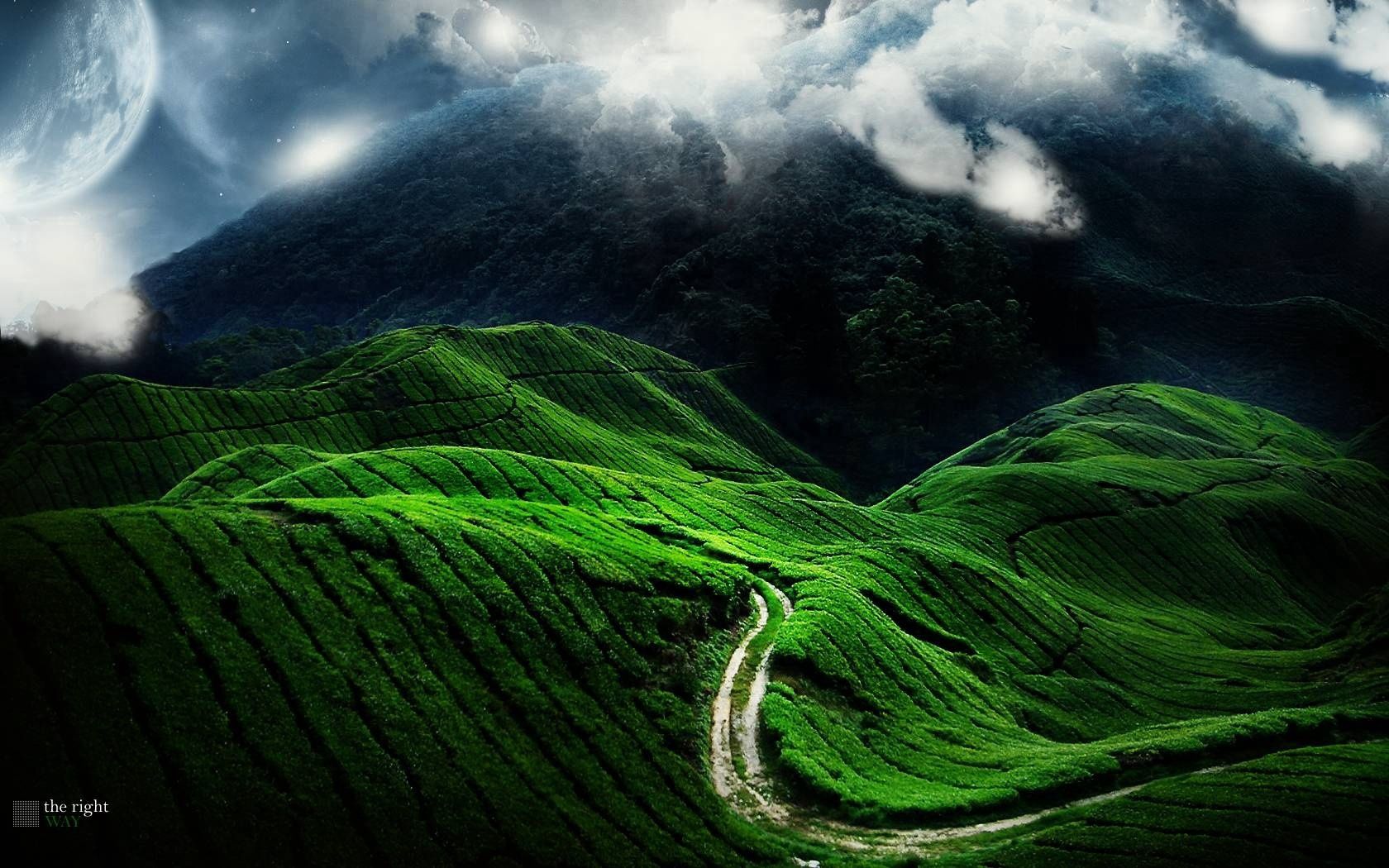 road, fields, strips, green, bends, relief