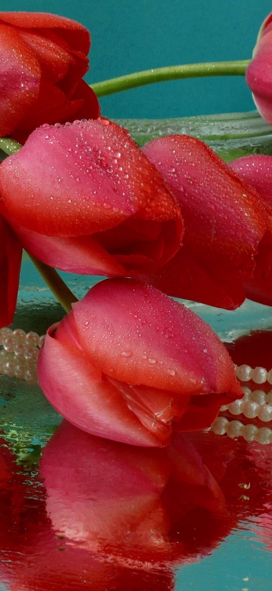 tulips, flowers, vase, lie, beads, drops, water, reflection