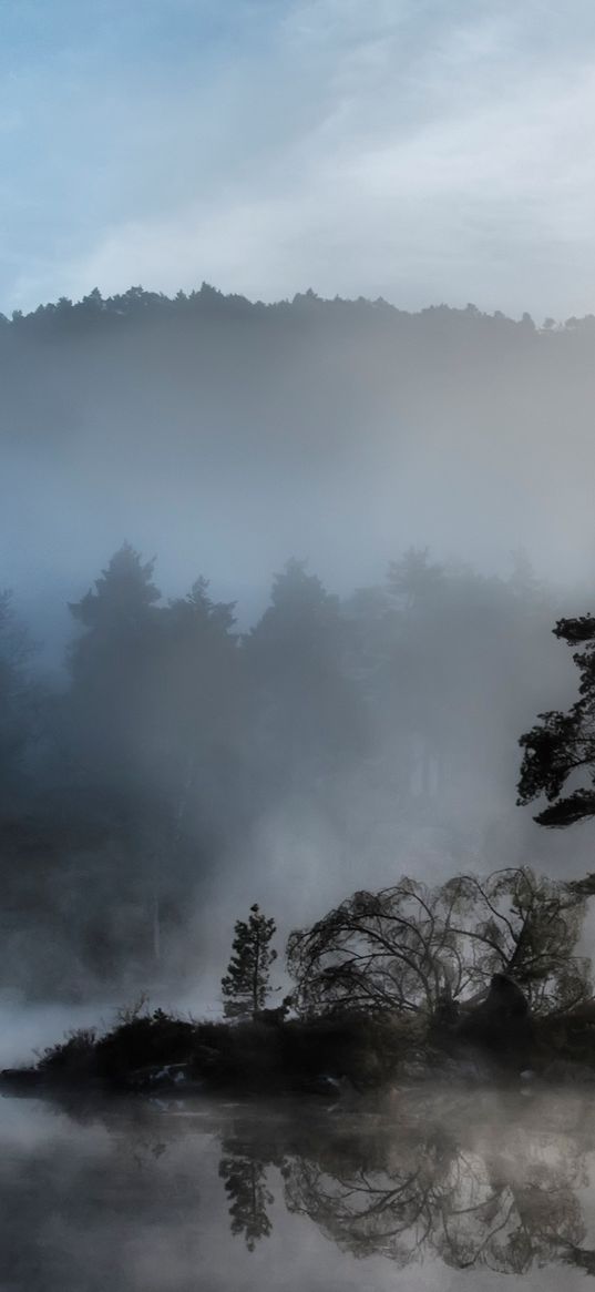 tree, island, reservoir, fog, mysterious