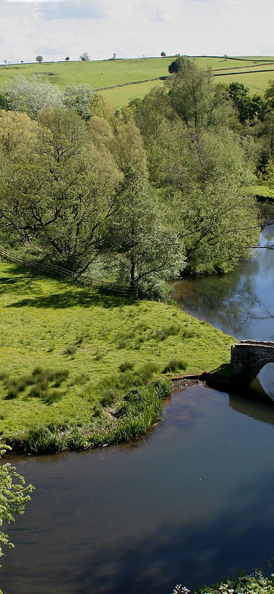 bridge, meadows, glade, height, trees, stone, arches