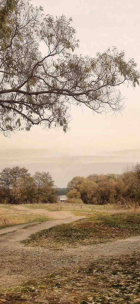 landscape, roads, country, autumn, gray