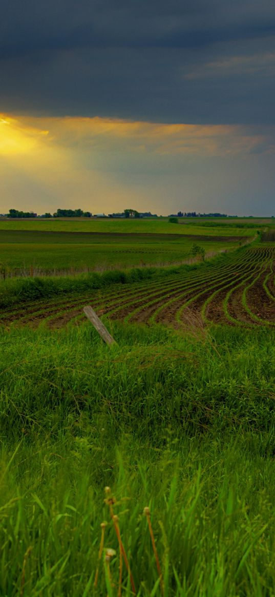 fields, sun, sky, gleam, beams, ranks, site