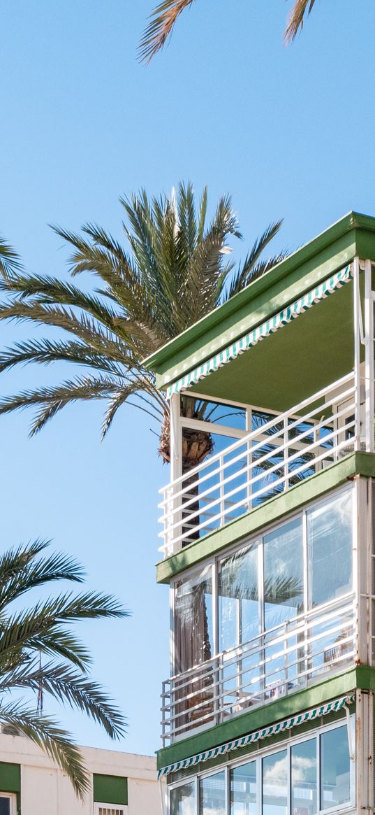 building, balconies, palm tree, sky