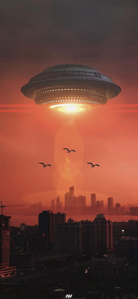 houses, buildings, city, birds, ufo, sunset, sky, science fiction