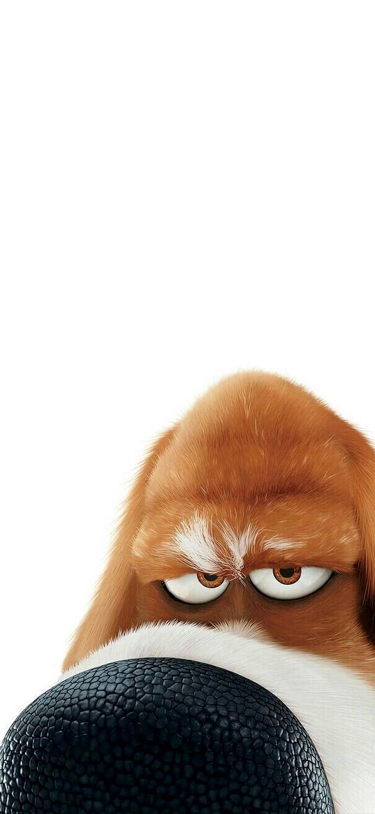 pops, the secret life of pets, cartoon, dog, muzzle, white background, art