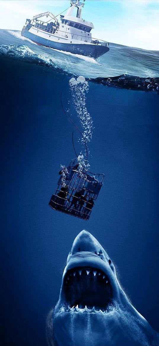 divers, boat, cage, shark, mouth, teeth, depth, sea, horror, art