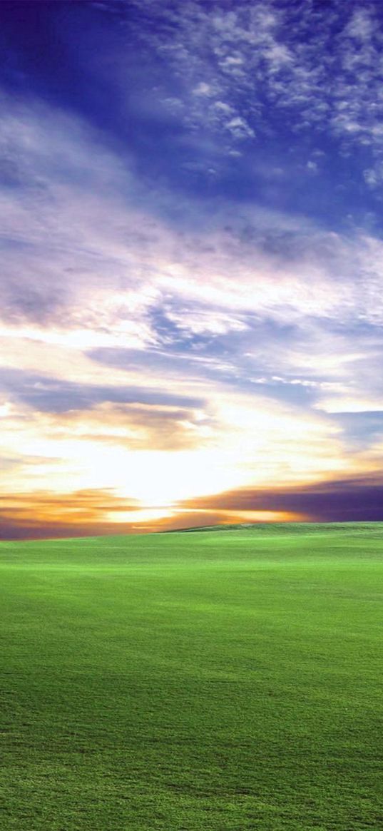 field, meadow, decline, sun, evening