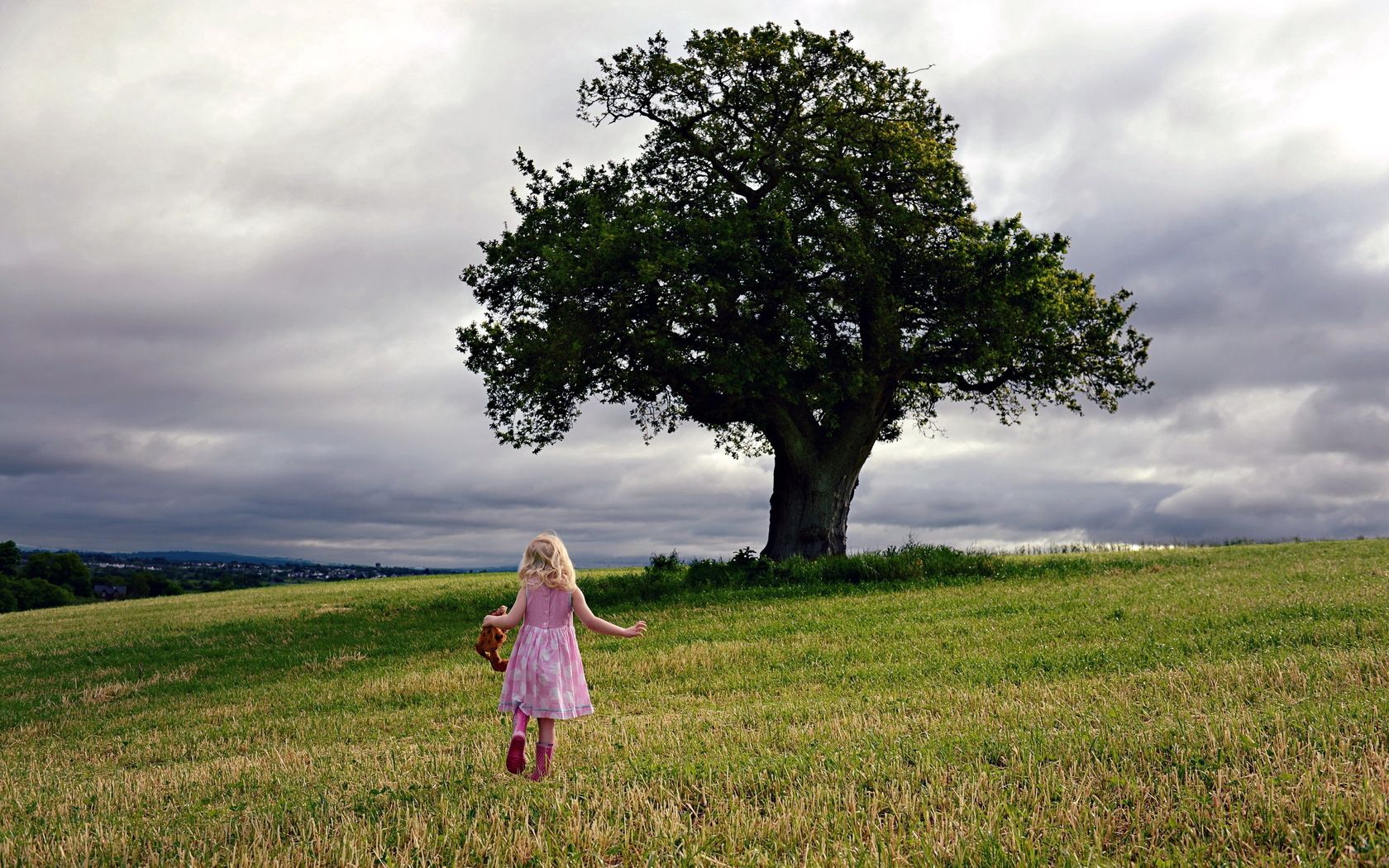 little girl, field, tree, mood