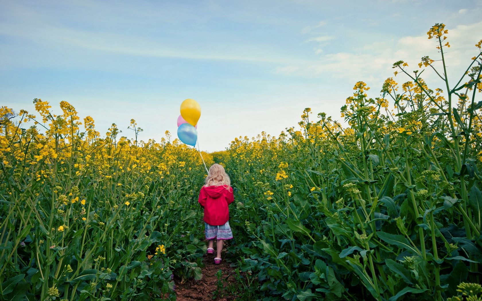 little girl, meadow, mood, balloons