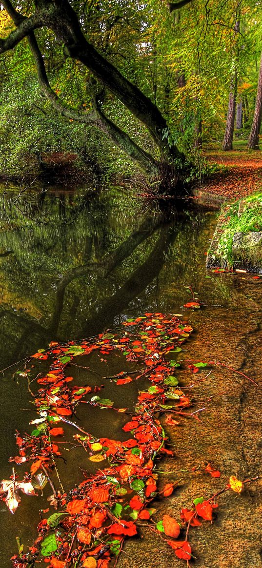 park, autumn, leaves, pond, trees, plate