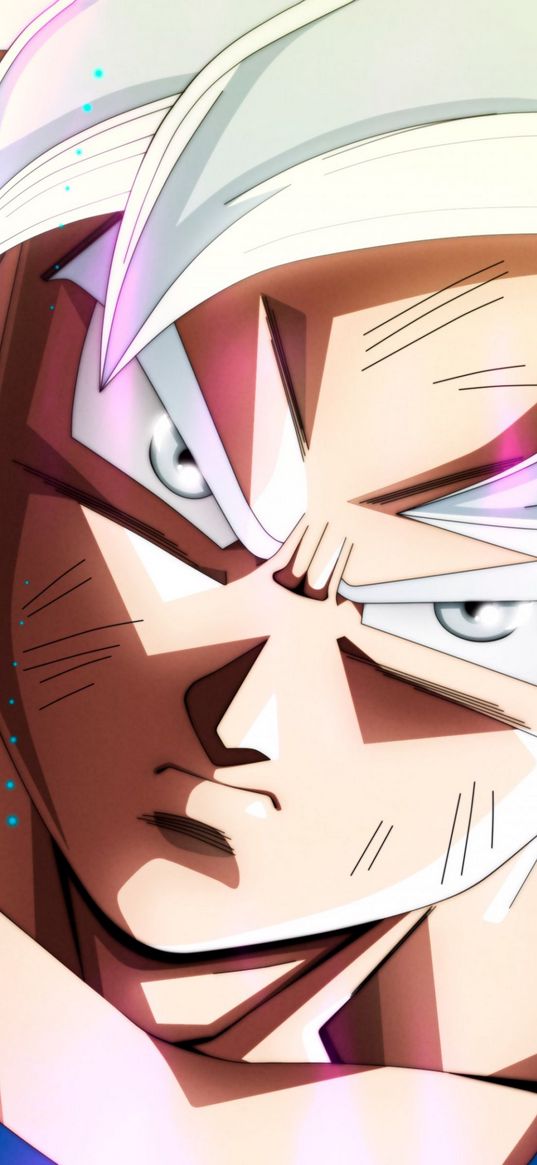 goku, dragon ball z, super hero, man, evil, face, anime, art