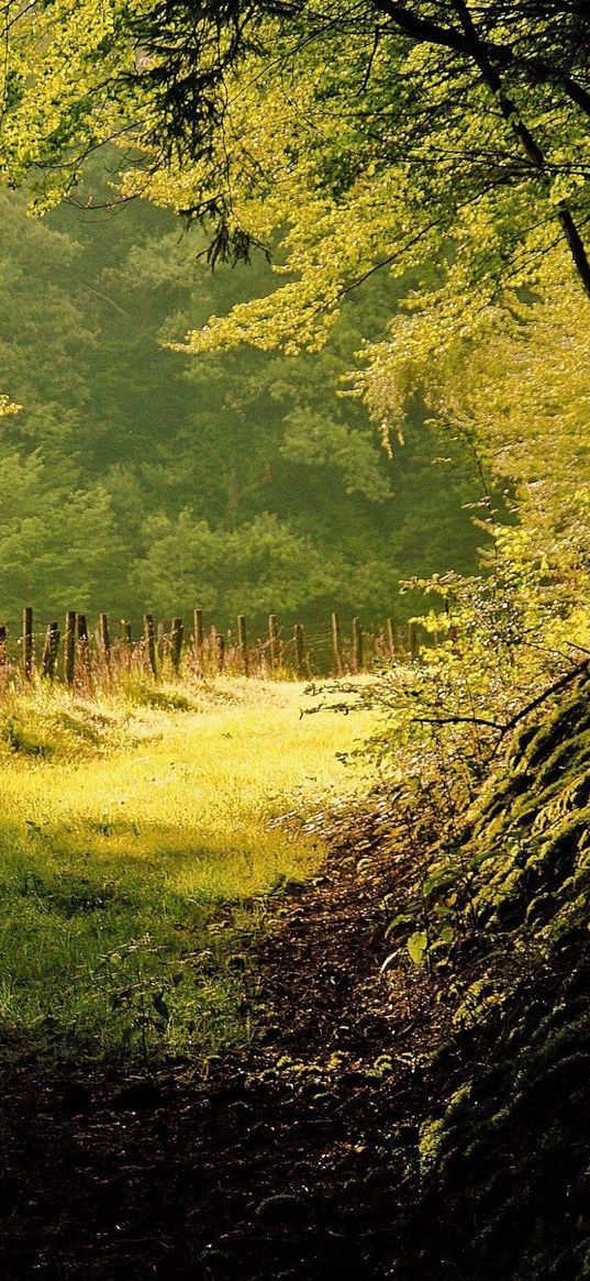 wood, edge, fence, mountains, trees, light